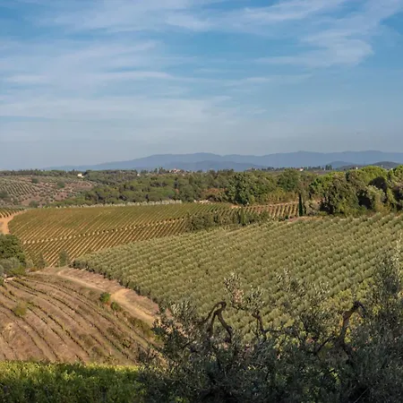 Il Pintello - Il Riccio * San Casciano in Val di Pesa