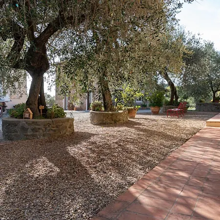 Alojamento de Turismo Rural Il Pintello - Il Riccio