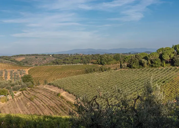 Il Pintello - Il Riccio * San Casciano in Val di Pesa