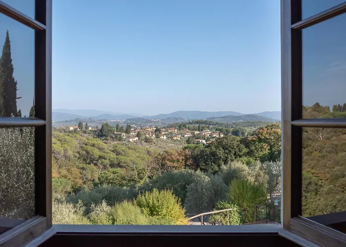 Il Pintello - Il Riccio