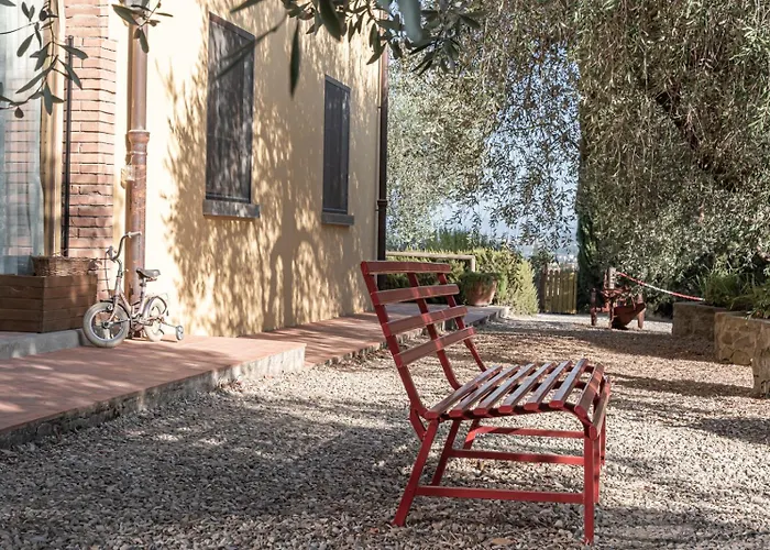 Il Pintello - Il Riccio *