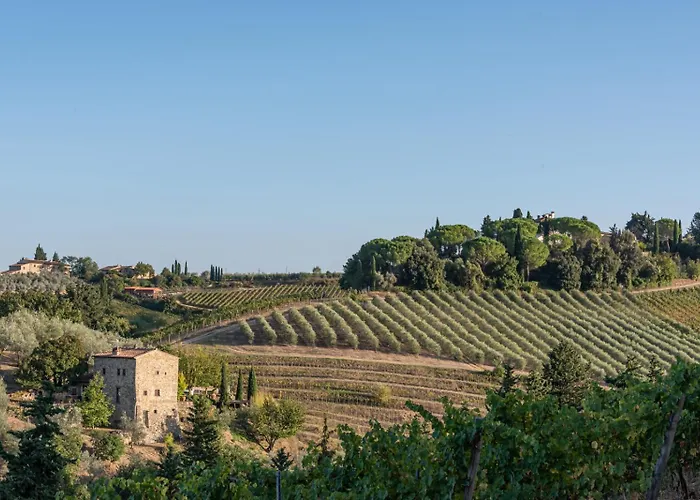 Il Pintello - Il Riccio *